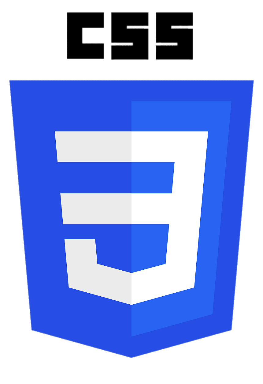 CSS Logo